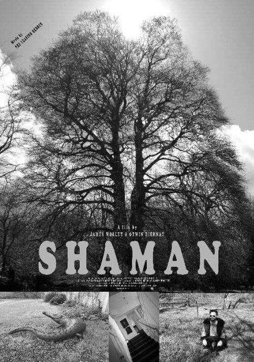 Постер Shaman