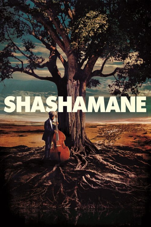 Постер Shashamane