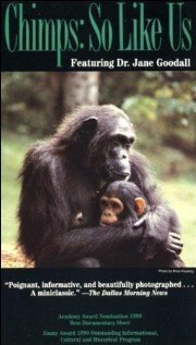 Шимпанзе: Такие же как мы скачать фильм торрент