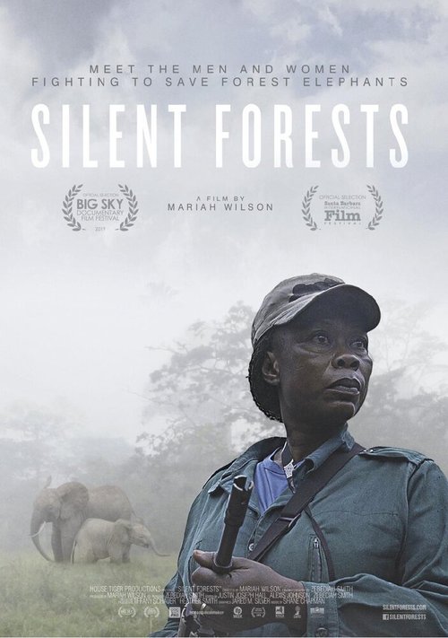 Постер Silent Forests