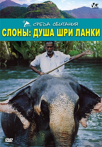 Постер Слоны: Душа Шри-Ланки