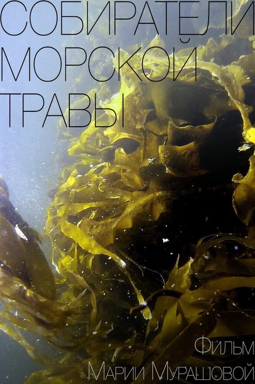 Постер Собиратели морской травы