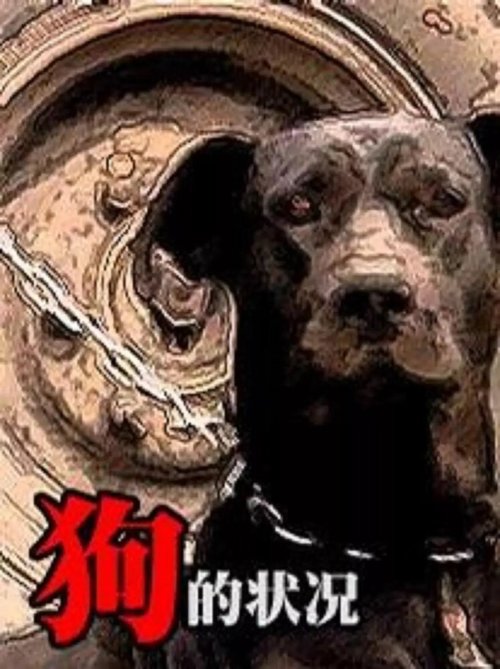 Постер Состояние собак