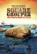 Постер Square Grouper