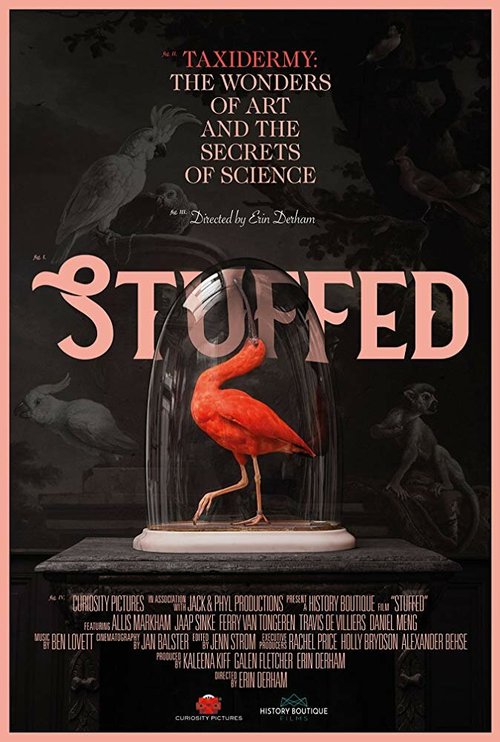 Постер Stuffed