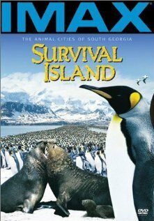 Постер Survival Island