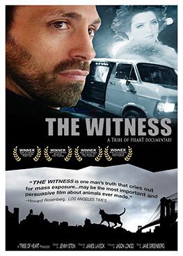 Постер Свидетель