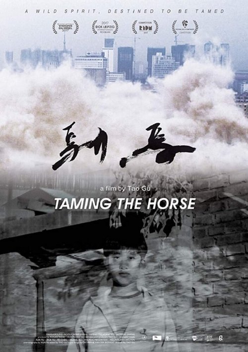 Постер Taming the Horse