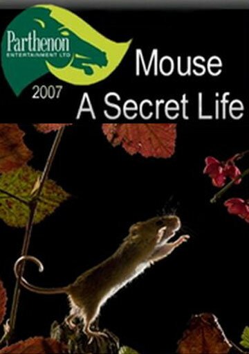 Постер Тайная жизнь мышей