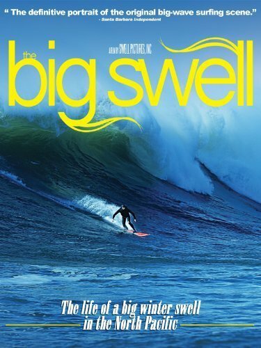 Постер The Big Swell
