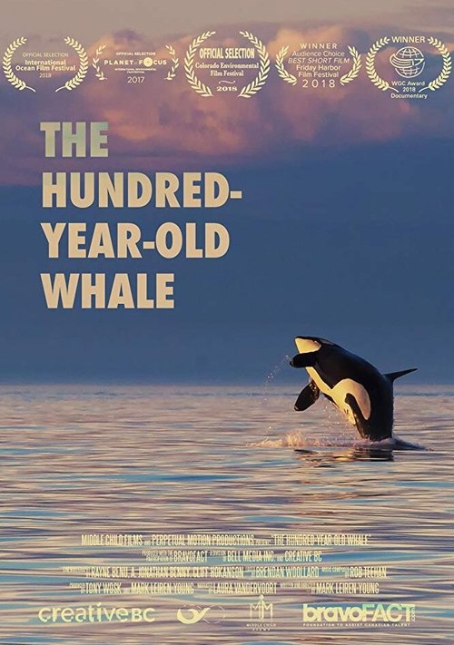 Постер The Hundred Year Old Whale