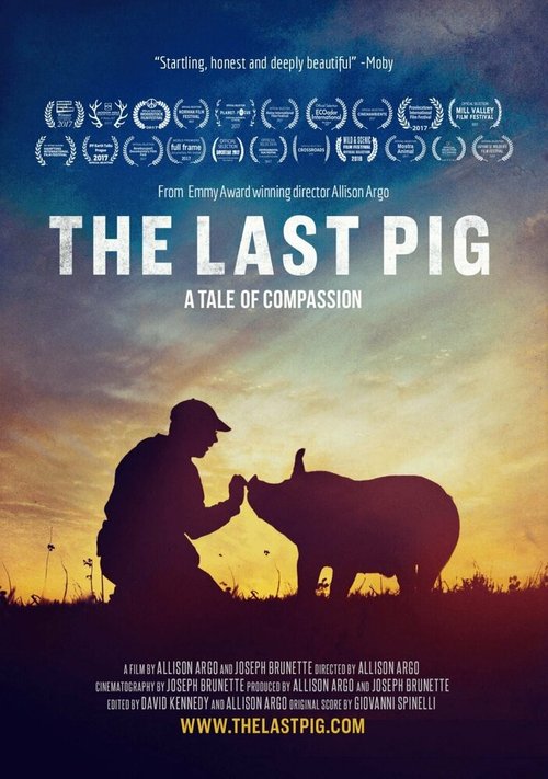 Постер The Last Pig
