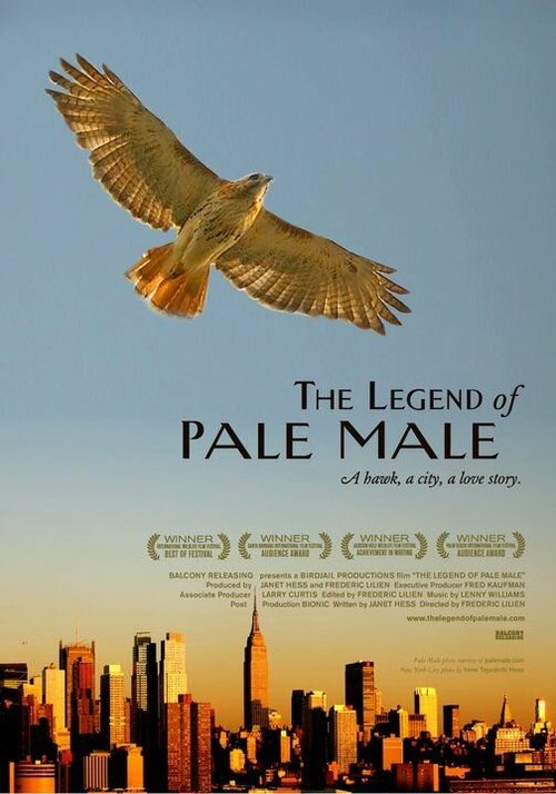 Постер The Legend of Pale Male