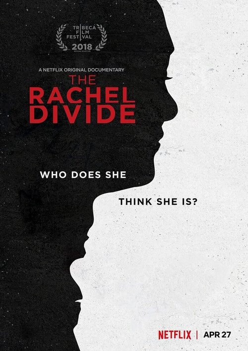 Постер The Rachel Divide