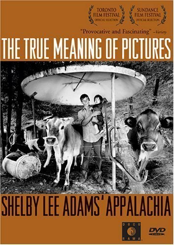 Постер The True Meaning of Pictures: Shelby Lee Adams' Appalachia