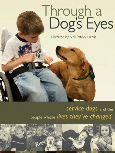 Постер Through a Dog's Eyes