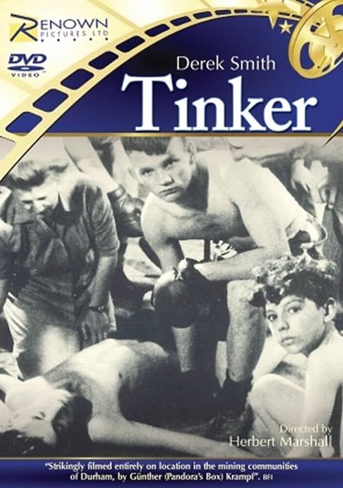 Постер Tinker