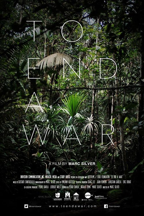 Постер To End a War