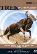 Постер Trek: Spy on the Wildebeest