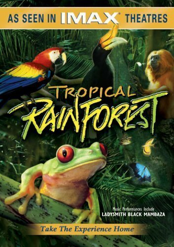 Постер Тропический лес