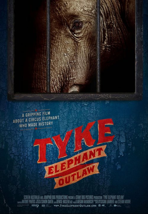 Постер Tyke Elephant Outlaw