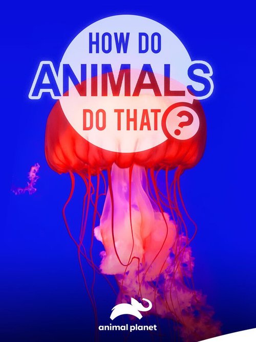 Постер Удивительный мир животных