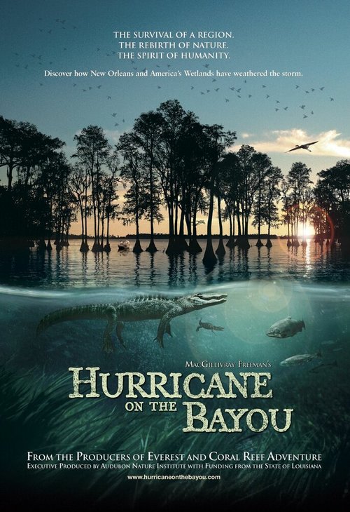 Постер Ураган на Байу
