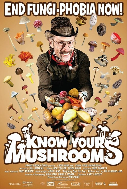 Постер Узнай всё о грибах