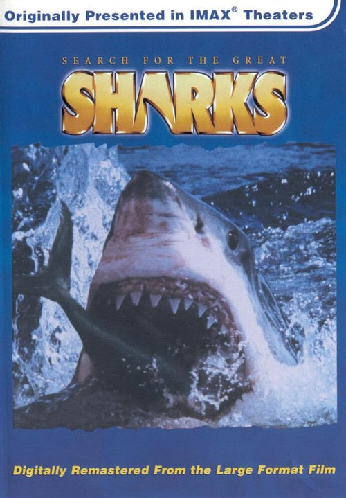 Постер В поисках больших акул