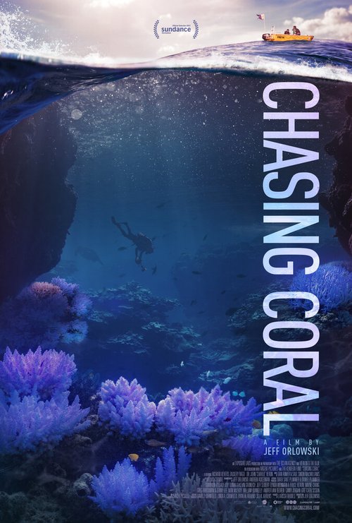 Постер В поисках кораллов