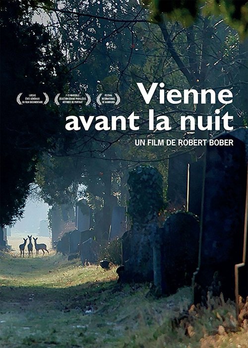 Постер Vienne avant la nuit