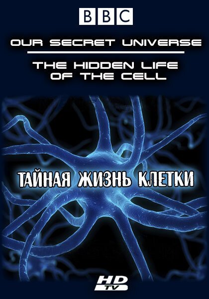 Постер Внутренняя вселенная: Тайная жизнь клетки