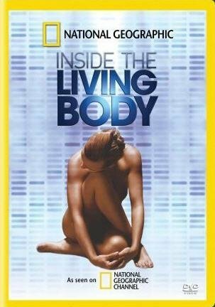Постер Внутри живого тела