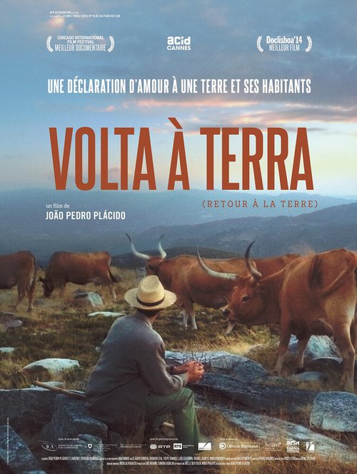Volta à Terra скачать фильм торрент