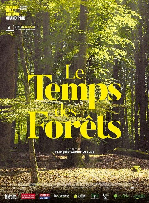 Постер Время леса