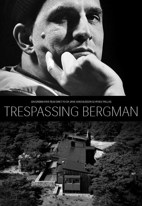 Постер Вторжение к Бергману
