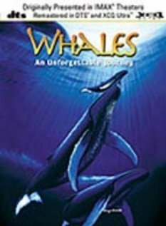 Постер Whales: An Unforgettable Journey