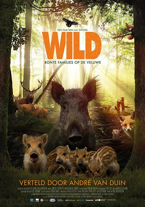 Постер Wild