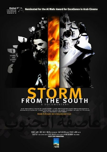 Постер Южный шторм