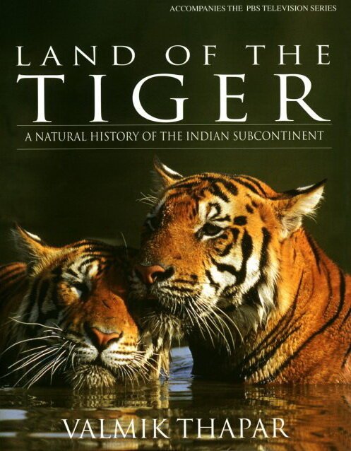 Постер Земля тигров