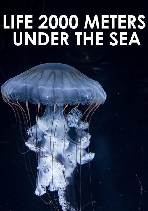 Постер Жизнь на глубине 2000 метров