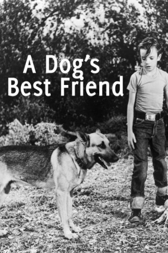 Постер A Dog's Best Friend