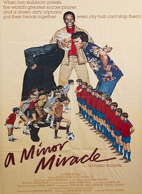 Постер A Minor Miracle