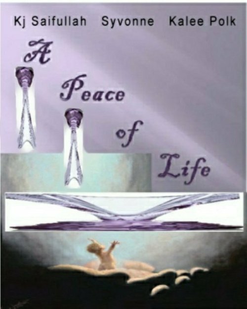 Постер A Peace of Life