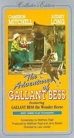 Постер Adventures of Gallant Bess