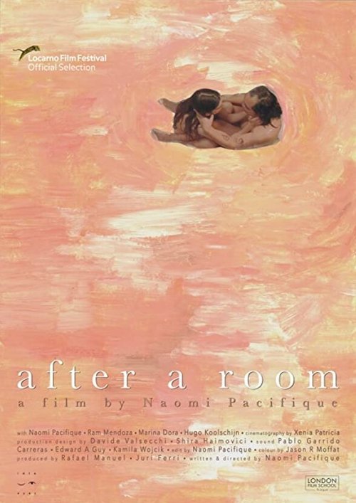 Постер After a Room