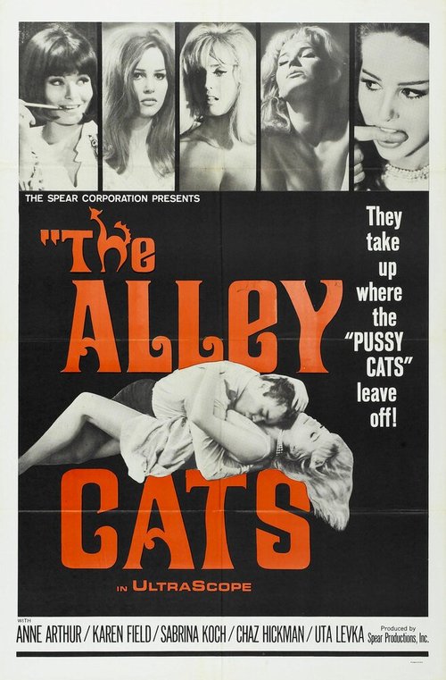 Постер Аллея кошек