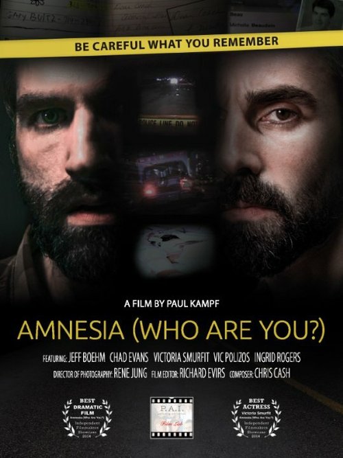 Постер Amnesia: Who Are You?
