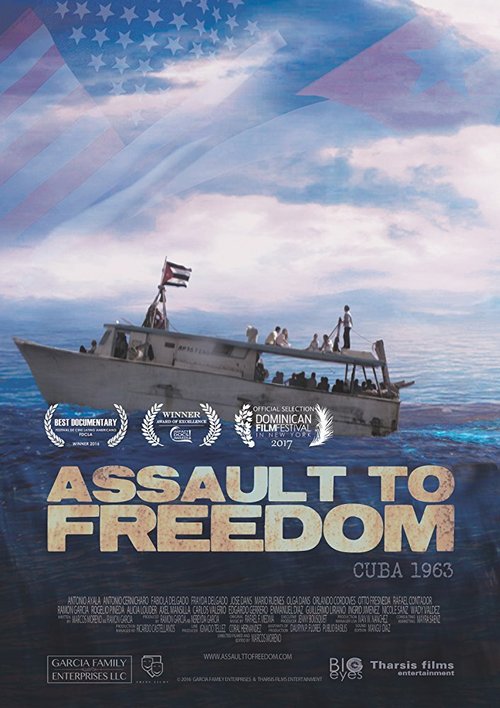 Постер Assault to Freedom