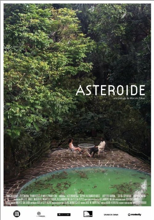Постер Астероид